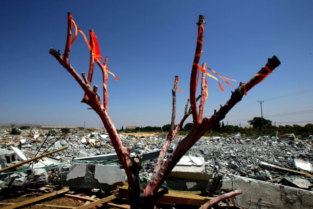  Tree is decorated with orange ribbons in front of destroyed Jewish settler houses in former Jewish settlement of Gadid in Gaza Strip, August, 2005. (photo credit: GORAN TOMASEVIC/REUTERS)