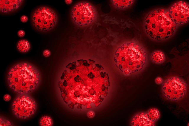  COVID-19 (illustrative) (photo credit: TORANGE)