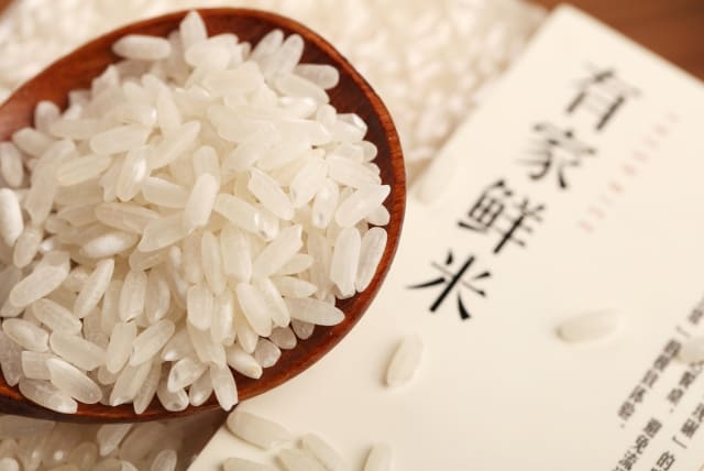 White rice (Illustrative) (photo credit: PIXABAY)