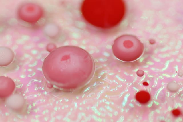  Macrophages, white blood cells (photo credit: fly:d/unsplash)