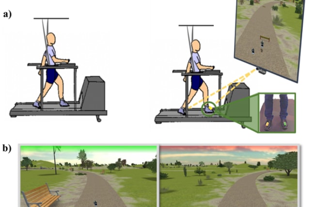  Israeli study finds that that training on a treadmill plus virtual reality helps improve walking, cognition and depression in relapsing-remitting MS patients, November 24, 2022. (photo credit: JOURNAL OF NEUROLOGY)
