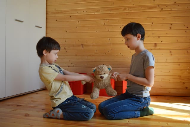  Children fighting over a teddy bear. (photo credit: PEXELS)