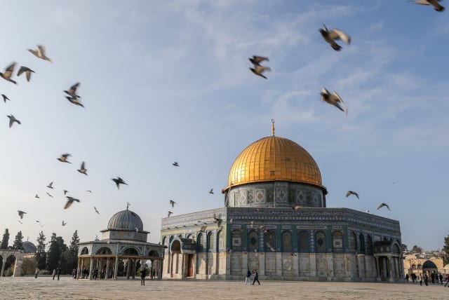 Tourist visit at the al-Aqsa Mosque compound on Temple Mount in the Old City of Jerusalem, on January 3, 2023.  (photo credit: JAMAL AWAD/FLASH90)