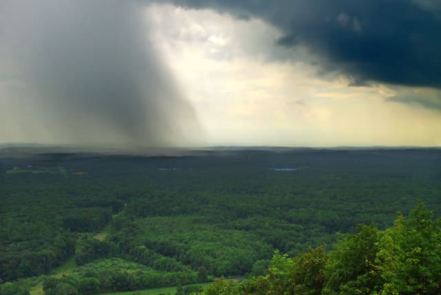  storm brewing over a forest (photo credit: FLICKR)