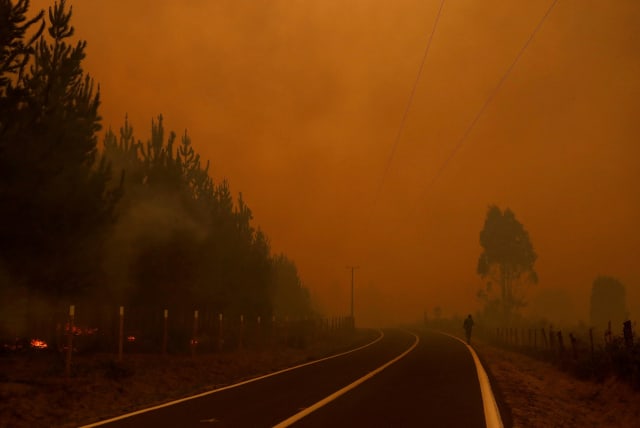  A wildfire burns areas in Santa Juana, near Concepcion, Chile (photo credit: REUTERS)