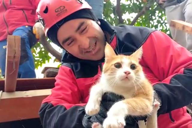  A cat is rescued from a rubble in the aftermath of a deadly earthquake in Hatay Province, Turkey, February 7, 2023 in this screen grab obtained from a handout video. (photo credit: Aksehir Search and Rescue/Handout via REUTERS)