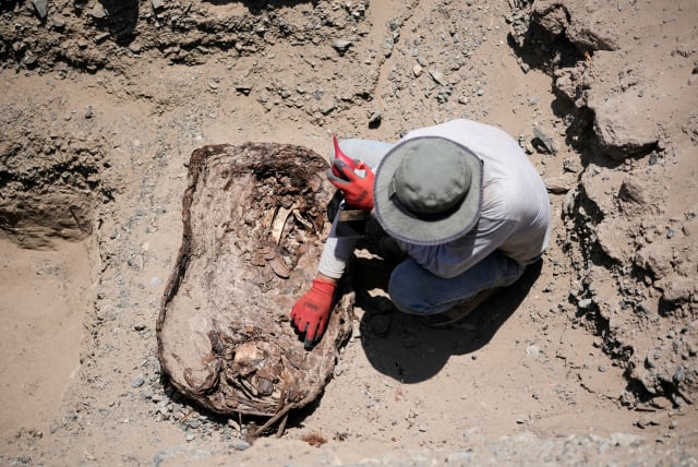  An archaeologist from the University of San Marcos works at the site of a burial belonging to the Chantay pre-Columbian culture, which was found in a cemetery at Macaton mountain in the north-central Huaral valley, in Huaral, Peru (photo credit: REUTERS)