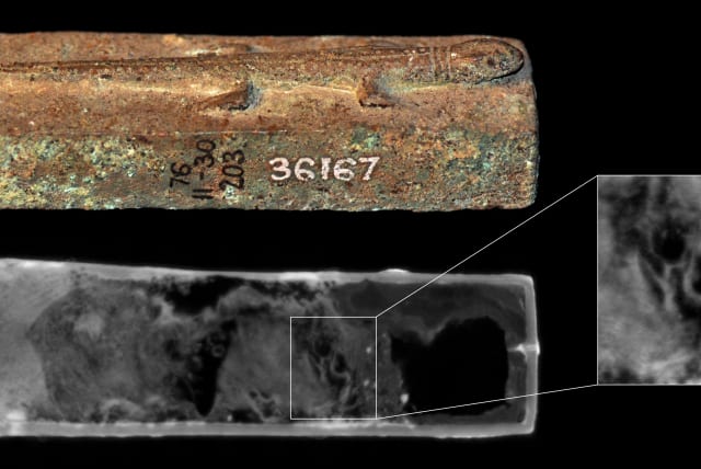   Animal coffin EA36167, surmounted by a lizard figure. Neutron imaging shows a lizard skull (inset). (photo credit: The Trustees of the British Museum and O’Flynn et al.)