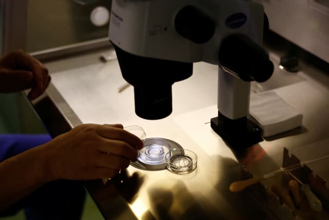 A petri dish is seen following an embryo transfer surgery at the Beijing Perfect Family Hospital, in Beijing, China April 6, 2023 (photo credit: REUTERS/TINGSHU WANG)