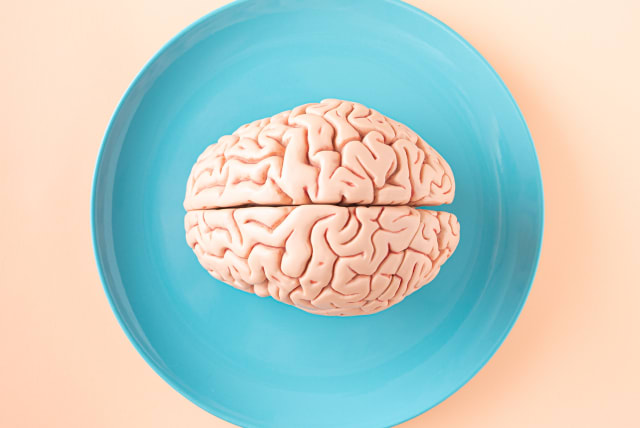 A brain (Illustrative) (photo credit: Amel Uzunovic/Pexels)