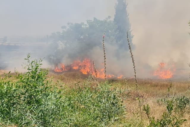  A view of the Ashkelon wildfire is seen on May 30, 2023 (photo credit: ASHKELON MUNICIPALITY)