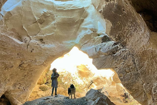  ONE OF the multitude of caves in the Judean Desert, from Nahal Darja to Qumran. (photo credit: SUSANNAH CHILD)