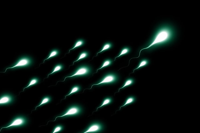  An illustrative image of sperm cells. (photo credit: PIXABAY)