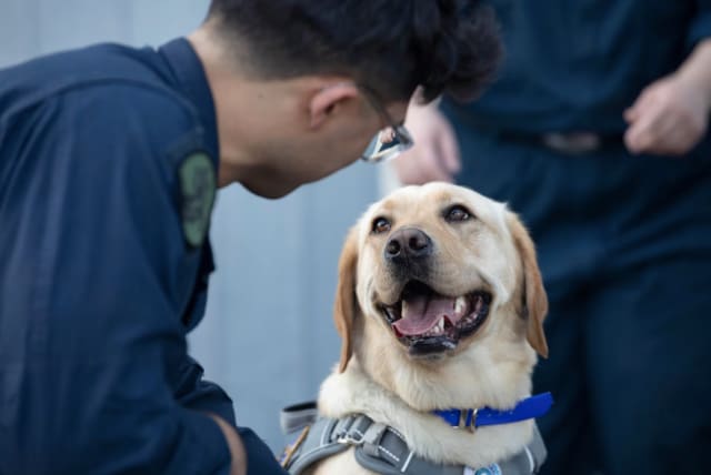  Navy Petty Officer 3rd Class Daniel Velasquez spends time with Sage, the USS Gerald R. Ford’s facility dog, as the dog and her handlers visit the USS Normandy in the Mediterranean Sea, June 20, 2023. (photo credit: US DEPARTMENT OF DEFENSE)