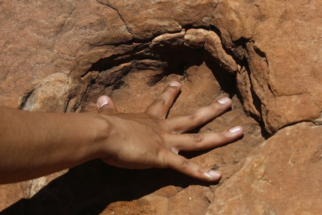 Bolivian amateur palaeontologist, Omar Medina, puts his hand in a dinosaur footprint in an area called Tunasniyoj (photo credit: DAVID MERCADO/REUTERS)