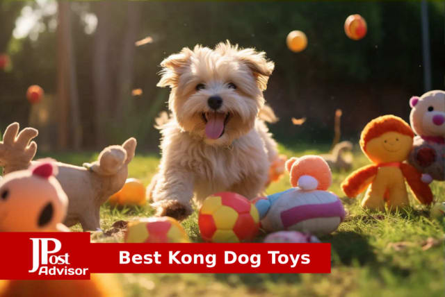 Best Dog Toys for 2023