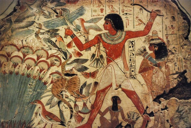 Painting from the tomb of Nebamun show the New Kingdom period accountant Nebamun hunting birds in the marshes of Egypt.  (photo credit: Jan van der Crabben)
