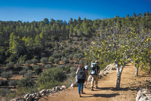  CHOOSING THE Hills: Hiking the Sataf in the Jerusalem Hills.