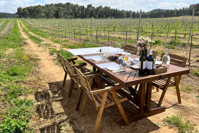 IT’S A beautiful place to picnic, entertain or be entertained, either in the vineyard or under the pergola.  (photo credit: Anava Vineyards)