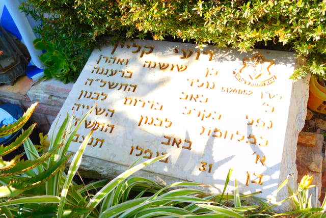  Roi Klein's grave (photo credit: Wikimedia Commons)