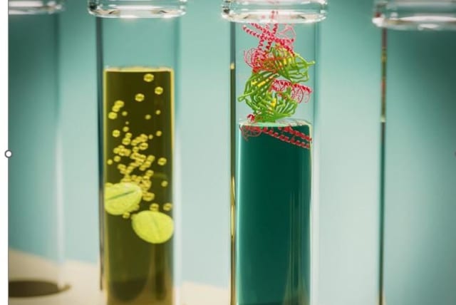  IMAGE: graphical representation of tablets of solid-state biologics dissolving in water (left), activating the biological machinery for on-demand manufacturing (photo credit: designed by Ehsan Faridi and Ehsan Keshavarzi (Inmywork Studio)  )