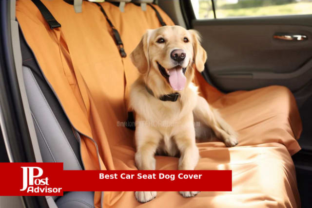 The 6 Best Dog Car Hammock Options for Your Next Road Trip [2023]
