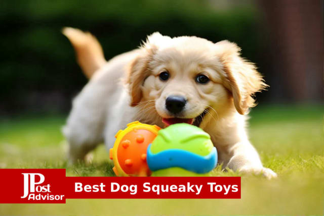 10 Best Nylon Dog Toys for 2023 - The Jerusalem Post
