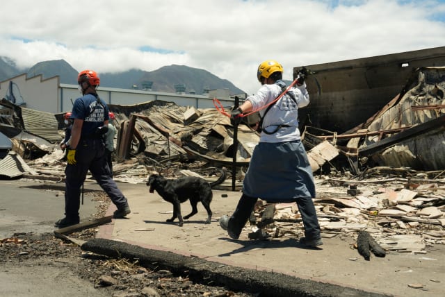 Members of FEMA Urban Search and Rescue teams Washington Task Force 1 and Nevada Task Force 1 continue searching through destroyed neighborhoods in the Maui city of Lahaina, Hawaii, US August 13, 2023. (photo credit: Dominick Del Vecchio/FEMA/Handout via REUTERS)
