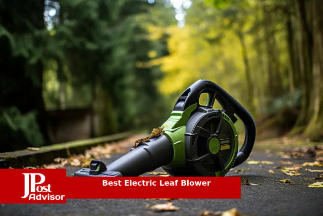  BLACK+DECKER Leaf Blower & Leaf Vacuum, 3-in-1, 12-Amp,  250-MPH, 400-CFM (BV6000) : Patio, Lawn & Garden