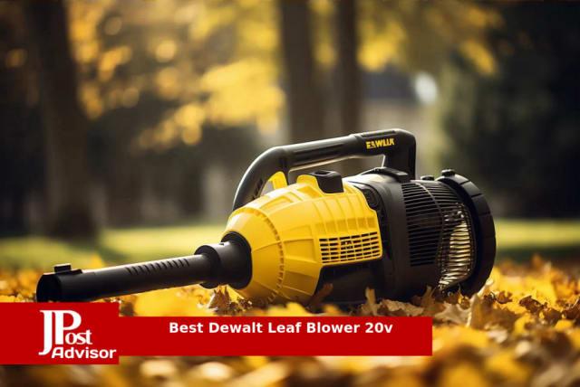 Cordless Leaf Blower, 20V Handheld Electric Leaf Blowers with 2 x