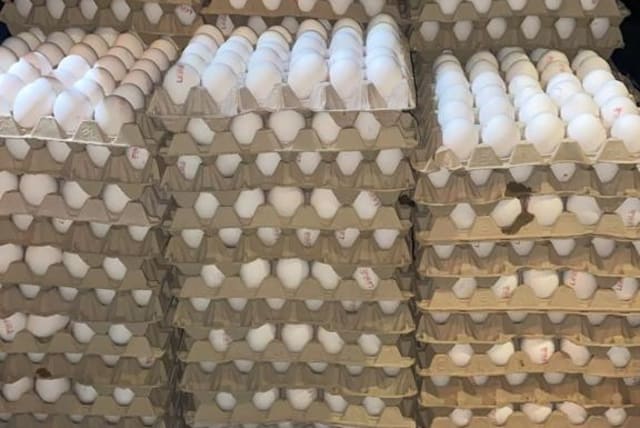  Thousands of smuggled eggs in the trunk of a car. (photo credit: POLICE SPOKESPERSON'S UNIT)