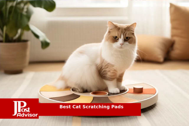 Round Extra-Large Cat Scratching Board Scratcher Pad Lounge for
