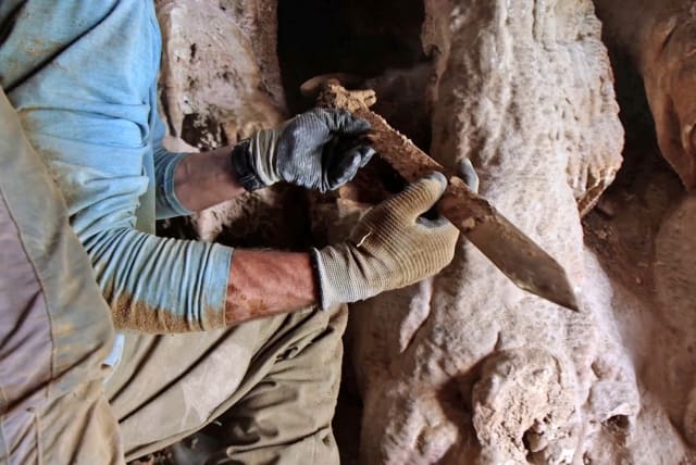  Four ancient swords found preserved in Israel's Ein Gedi Nature Reserve (photo credit: EMIL ALADJEM/ISRAEL ANTIQUITIES AUTHORITY)