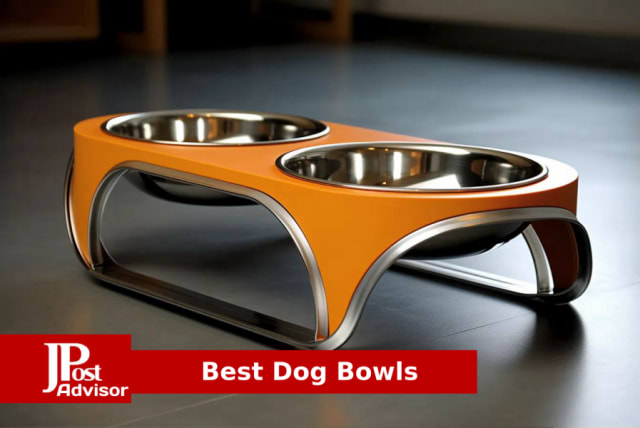 Top 10 Raised Dog Bowls 2023, Best Elevated Dog Bowls