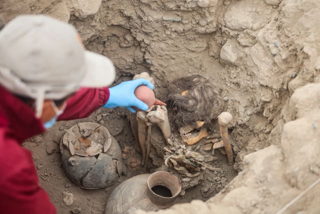 An archaeologist works on a site where a 1,000-year-old mummy was unearthed, at a residential neighbourhood, in Lima, Peru September 6, 2023. (photo credit: SEBASTIAN CASTANEDA/REUTERS)