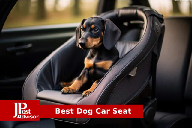Petsfit Dog Car Seat Pet Travel Car Booster Seat with Safety Belt