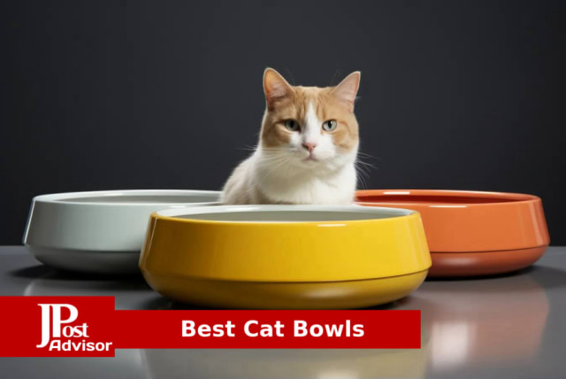 Non-slip Cat Bowls Double Dog Bowl With Raised Stand Pet Food Water Bowls  For Cats Dog Feeder Transparent Cat Bowl Stand 