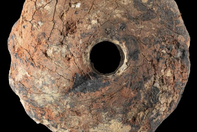  At the base of the grave pit, a well-preserved, decorated ceramic whorl was found. (photo credit: LWL-AfW Olpe/Petra Fleischer)