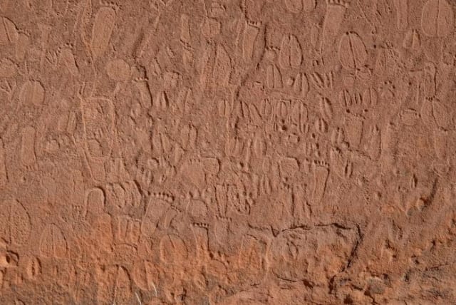  Detail of Stone Age depictions of human footprints and animal tracks in Doro Nawas mountains, Namibia. (photo credit: Andreas Pastoors)