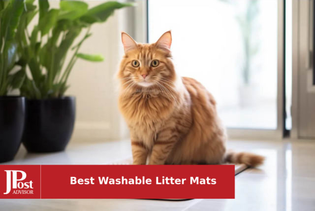 How to Choose the Best Waterproof Cat Litter Mat for Your Needs? — Posh  Lifestyle & Beauty Blog