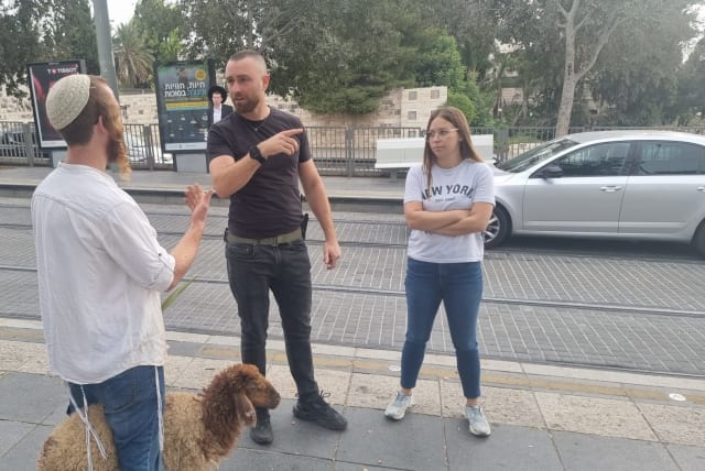 A religious activist attempting to sacrifice sheep on the Temple Mount is confronted by passers-by on October 1, 2023 (photo credit: CHOZRIM L'HAR)