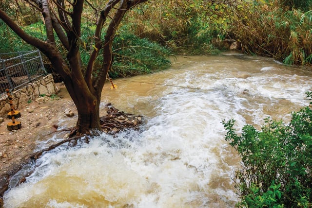  PRAYER FOR rain: Strong stream of rainwater in Ein Prat Nature Reserve, Wadi Qelt, south of Jerusalem, this past Feb. (photo credit: YOSSI ZAMIR/FLASH90)