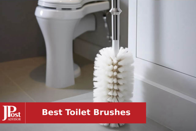 Toilet Brush, Compact Size Toilet Bowl Brush and Holder with Stainless  Steel Handle, Small Size Plastic Holder Space Saving for Storage,Easy to  Hide, Drip-Proof, Easy to Assemble, Deep Cleaning