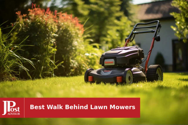 BEST Corded Lawn Mower Mowing REALLY LONG Grass - DOES IT WORK?