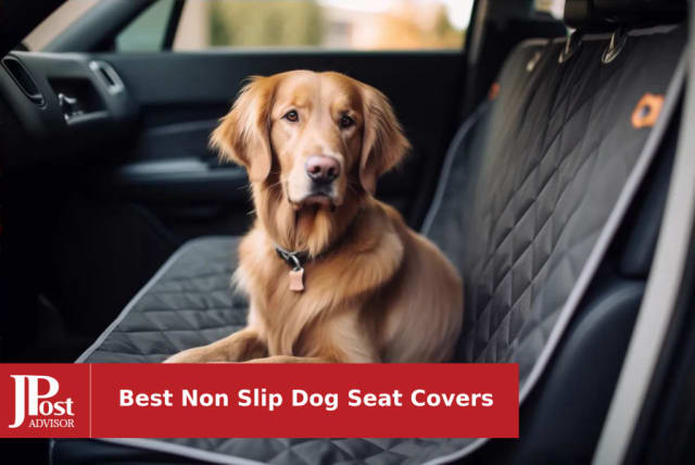 Meadowlark Dog Seat Cover
