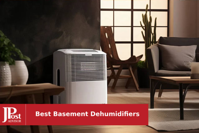 What Is The Best Basement Dehumidifier?