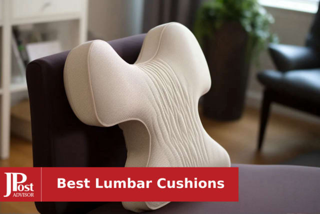 10 Best Heated Lumbar Supports - Reviews & Ratings 2023