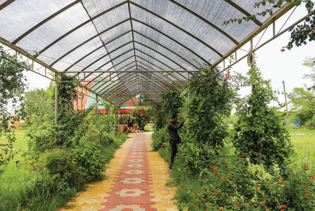  REBUILD OUR greenhouses: In the former Gush Katif, 2020.  (photo credit: FLASH90)