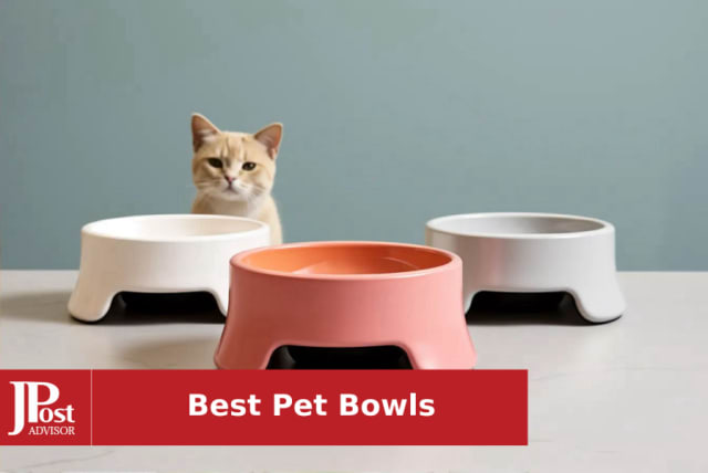 10 Most Popular Pet Bowls for 2023 - The Jerusalem Post