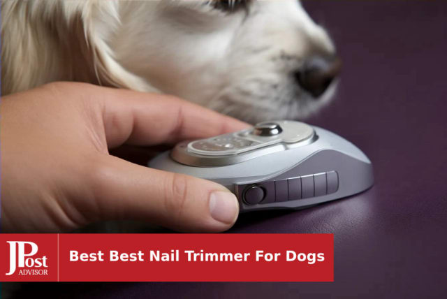 The Best Dog Nail Clippers